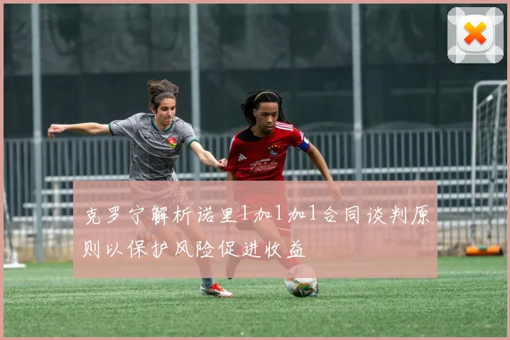 克罗宁解析诺里1加1加1合同谈判原则以保护风险促进收益