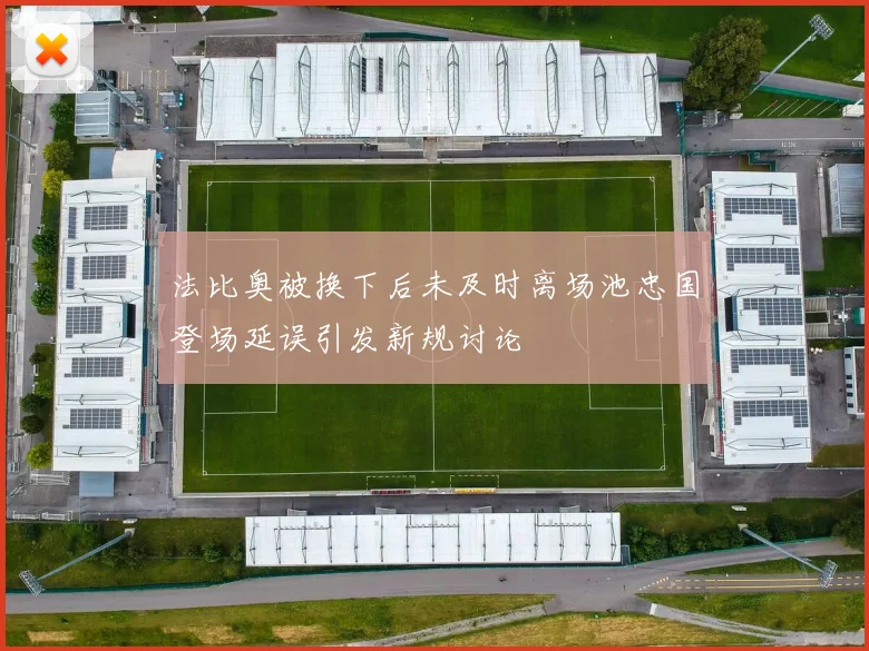 法比奥被换下后未及时离场池忠国登场延误引发新规讨论