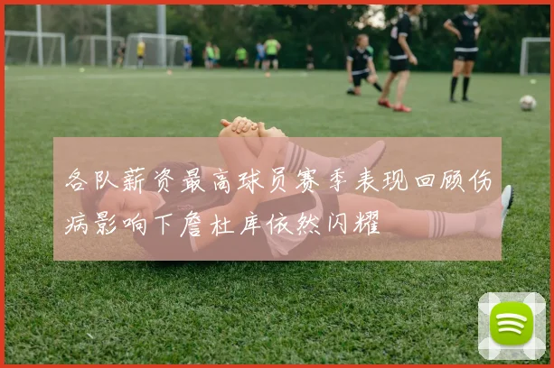 各队薪资最高球员赛季表现回顾伤病影响下詹杜库依然闪耀